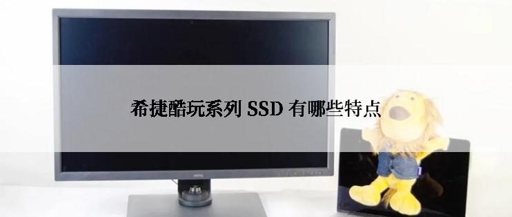 希捷酷玩系列 SSD 有哪些特点
