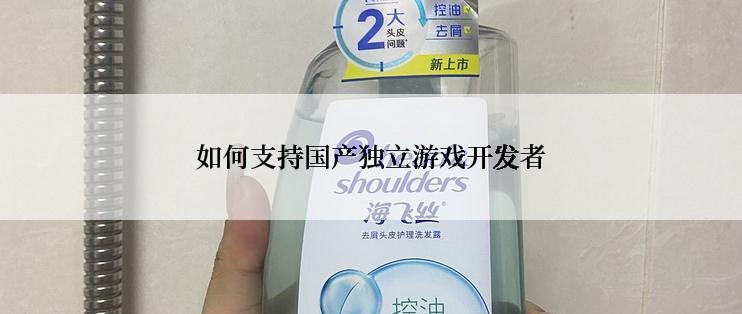 如何支持国产独立游戏开发者