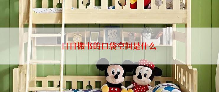 日日搬书的口袋空间是什么
