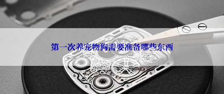 第一次养宠物狗需要准备哪些东西