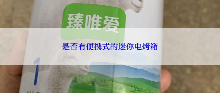 是否有便携式的迷你电烤箱