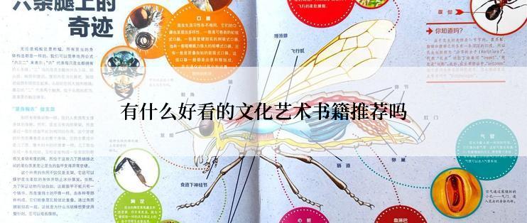 有什么好看的文化艺术书籍推荐吗