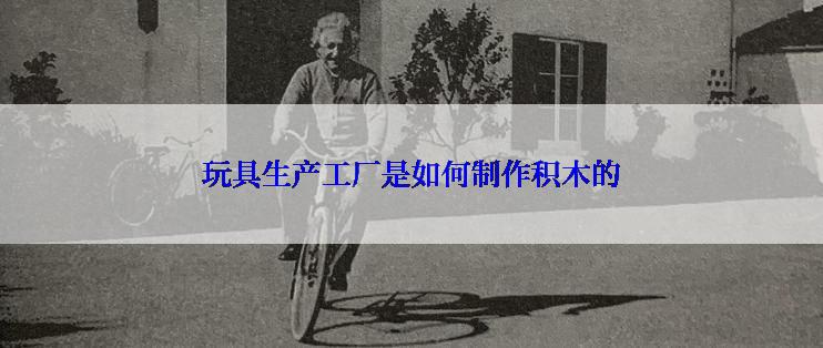 玩具生产工厂是如何制作积木的