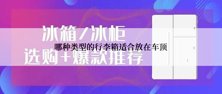 哪种类型的行李箱适合放在车顶