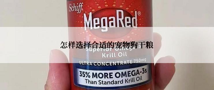 怎样选择合适的宠物狗干粮