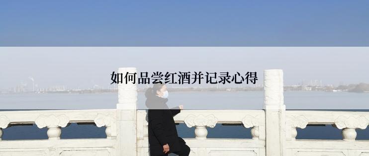如何品尝红酒并记录心得