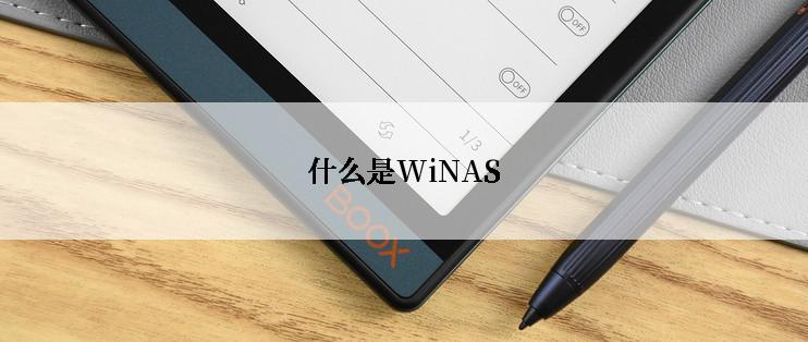 什么是WiNAS
