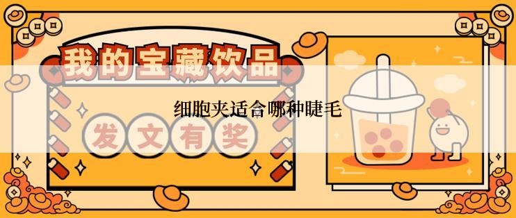 反季清仓活动有哪些款式可选