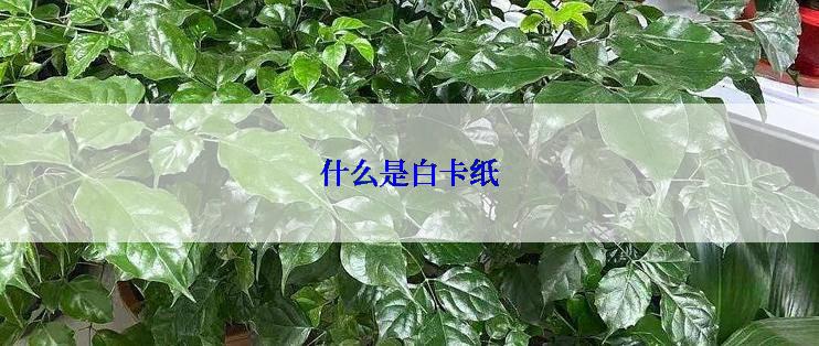 什么是白卡纸