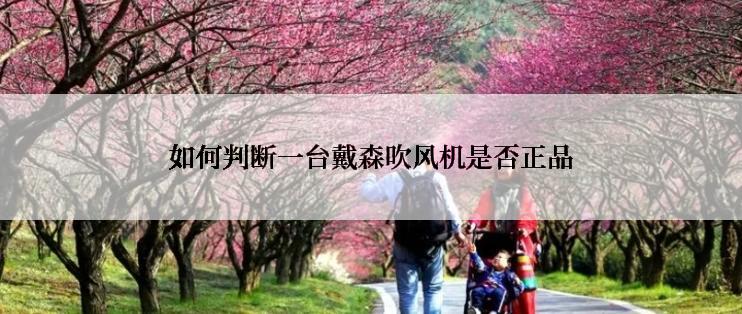 如何判断一台戴森吹风机是否正品