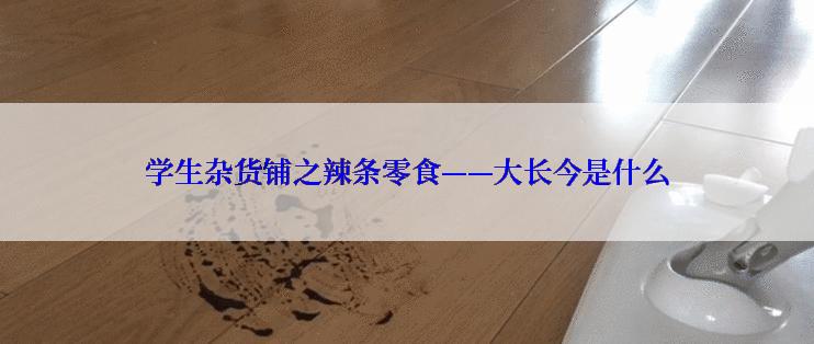 学生杂货铺之辣条零食——大长今是什么