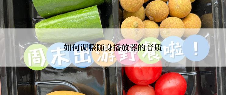 如何调整随身播放器的音质