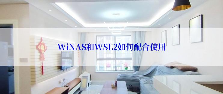 WiNAS和WSL2如何配合使用