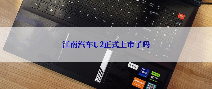 江南汽车U2正式上市了吗