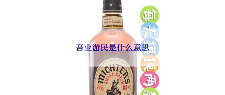 吾业游民是什么意思
