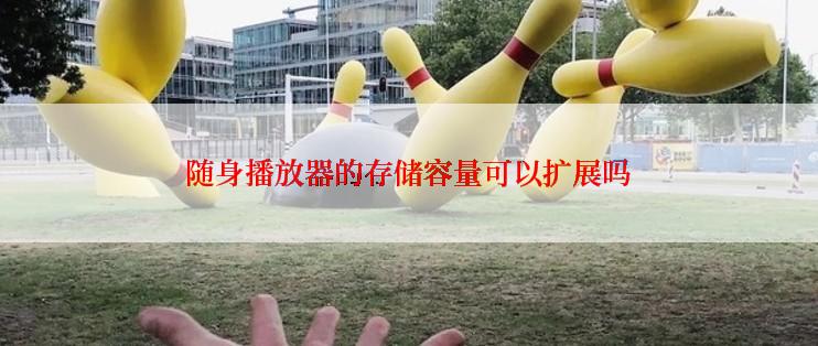 随身播放器的存储容量可以扩展吗