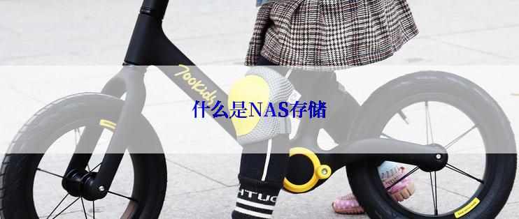 什么是NAS存储