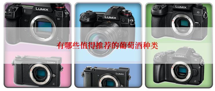 有哪些值得推荐的葡萄酒种类