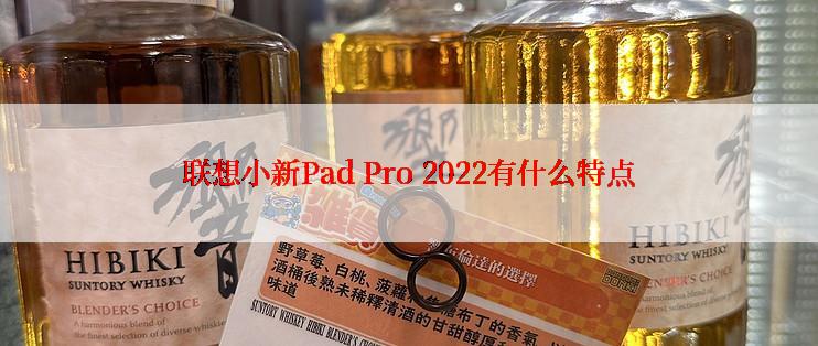 联想小新Pad Pro 2022有什么特点