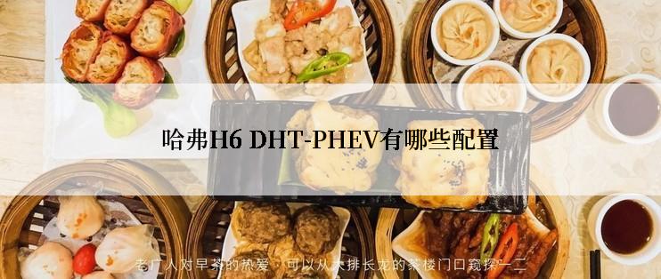 哈弗H6 DHT-PHEV有哪些配置