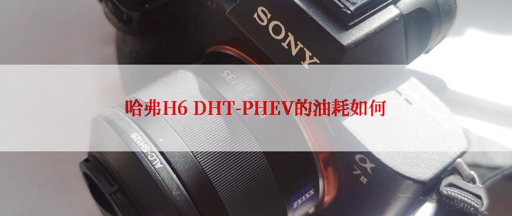 哈弗H6 DHT-PHEV的油耗如何