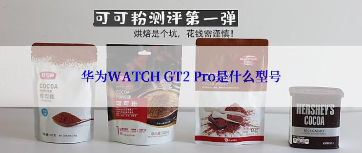 华为WATCH GT2 Pro是什么型号