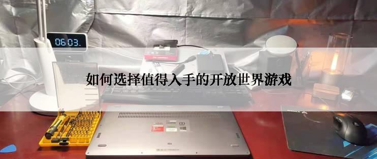 如何选择值得入手的开放世界游戏