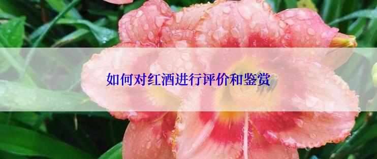 如何对红酒进行评价和鉴赏