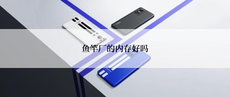 鱼竿厂的内存好吗