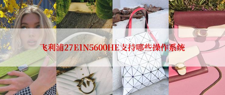 飞利浦27E1N5600HE支持哪些操作系统