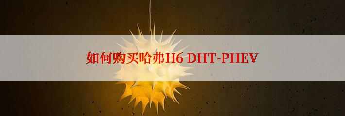 如何购买哈弗H6 DHT-PHEV