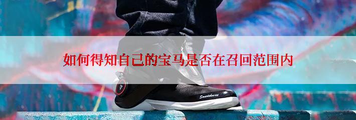 如何得知自己的宝马是否在召回范围内