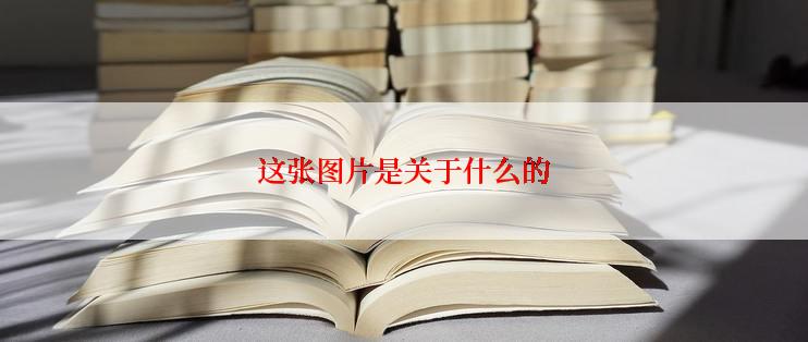 这张图片是关于什么的