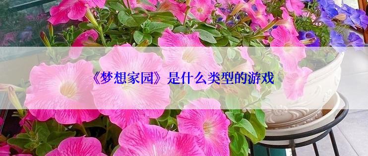 《梦想家园》是什么类型的游戏