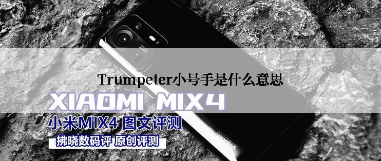 Trumpeter小号手是什么意思