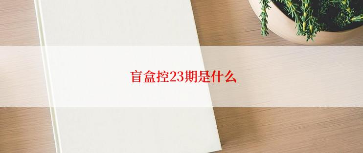  盲盒控23期是什么