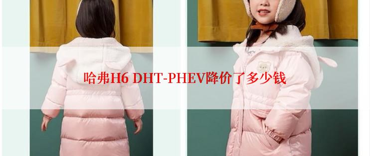 哈弗H6 DHT-PHEV降价了多少钱
