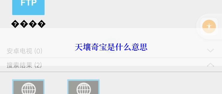 天壤奇宝是什么意思