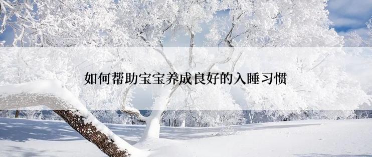 如何帮助宝宝养成良好的入睡习惯