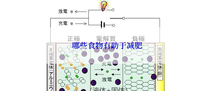 哪些食物有助于减肥