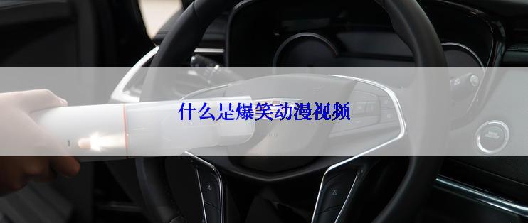 什么是爆笑动漫视频