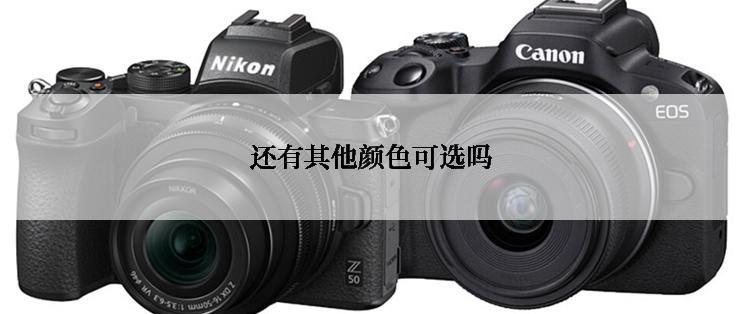 还有其他颜色可选吗