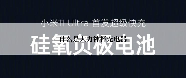 什么是大力神杯充电器