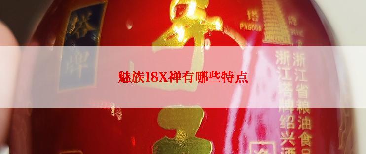 魅族18X禅有哪些特点