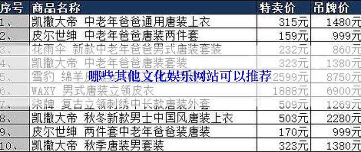 哪些其他文化娱乐网站可以推荐