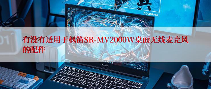 有没有适用于枫笛SR-MV2000W桌面无线麦克风的配件