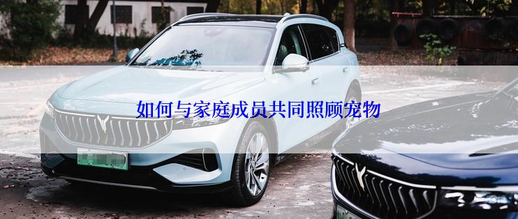 如何与家庭成员共同照顾宠物