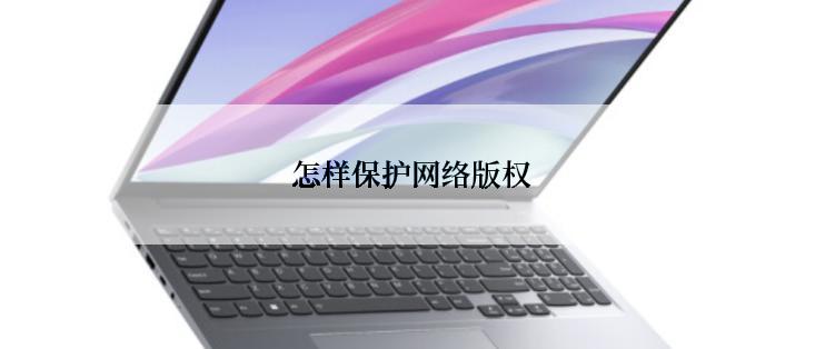 怎样保护网络版权