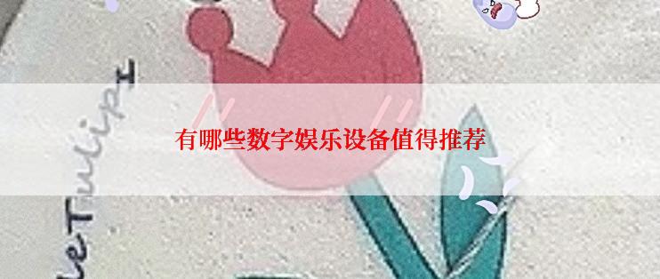 有哪些数字娱乐设备值得推荐
