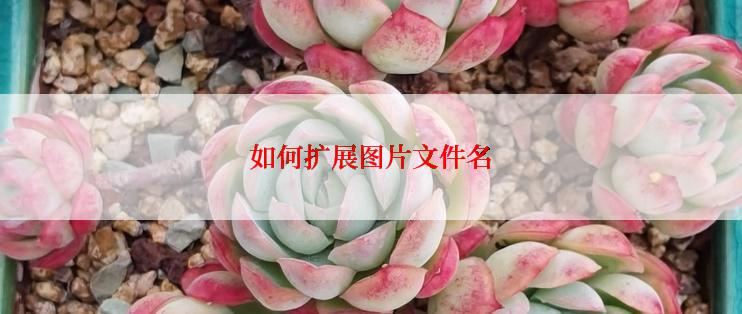 如何扩展图片文件名